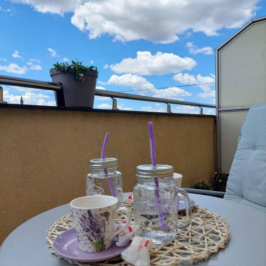 Apartmán Soul Stan Na Dan Novi Sad Exteriér fotografie