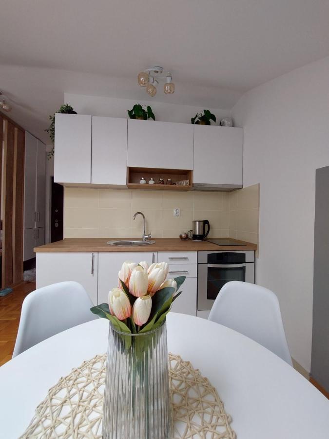 Apartmán Soul Stan Na Dan Novi Sad Exteriér fotografie